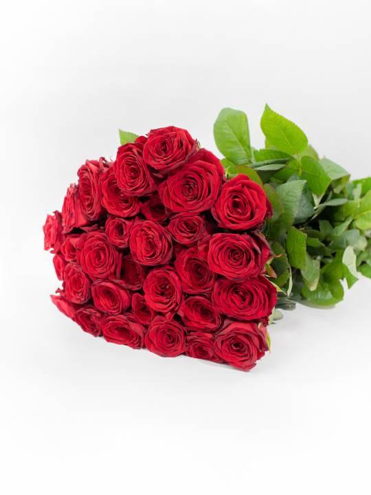 R Gr Red Naomi 90 cm